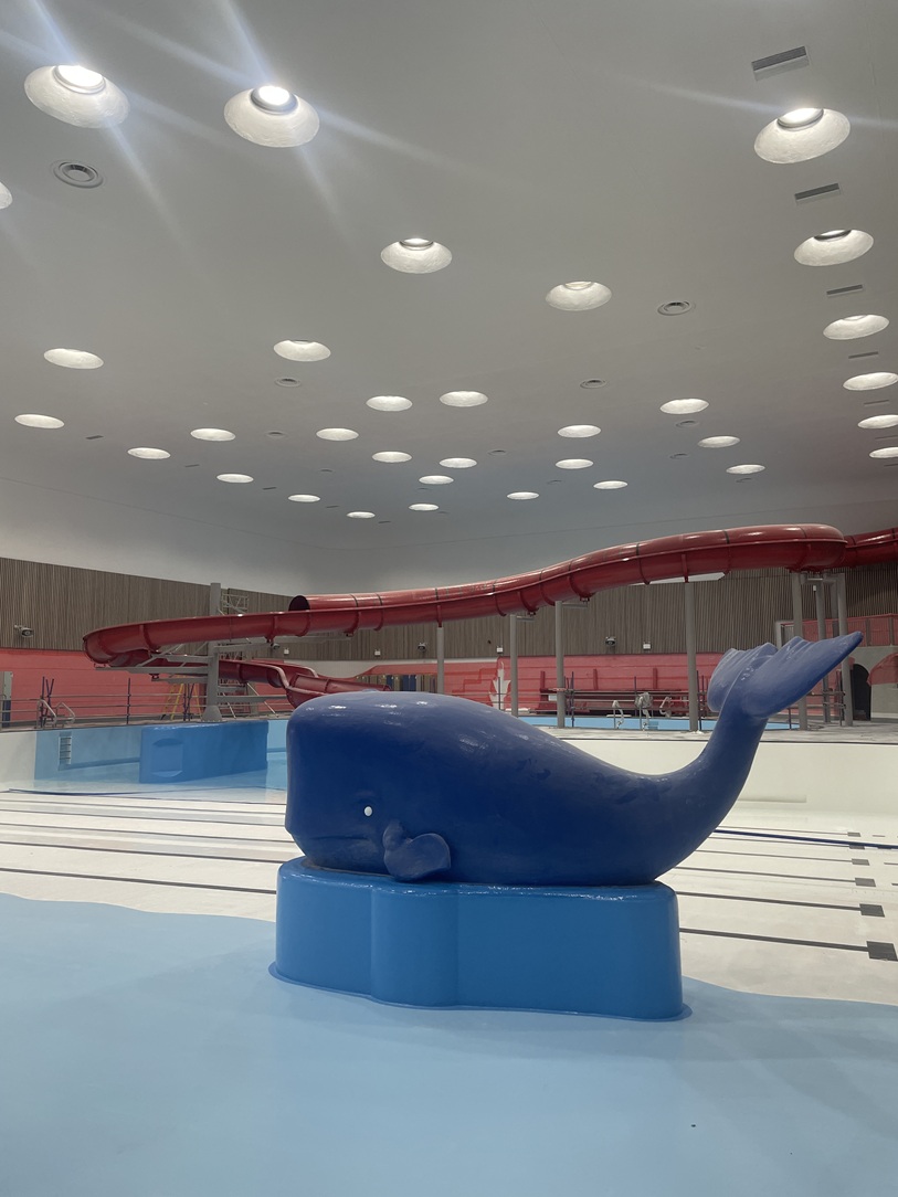 A large blue water feature shaped like a whale in a bright swimming pool area. 