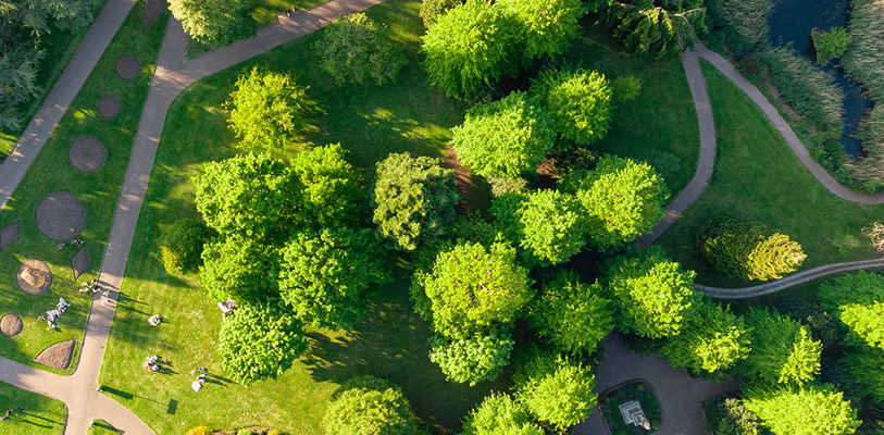 Aerial view over Grosvenor Park