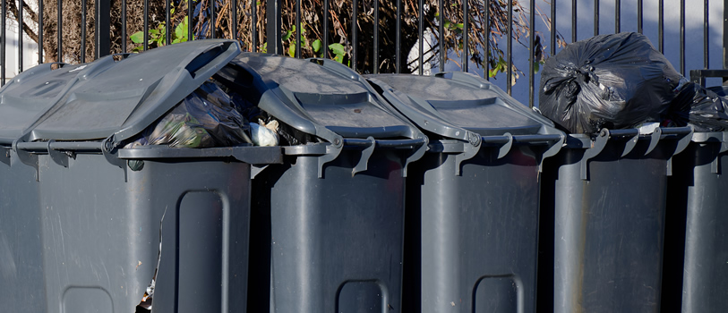 Black bins