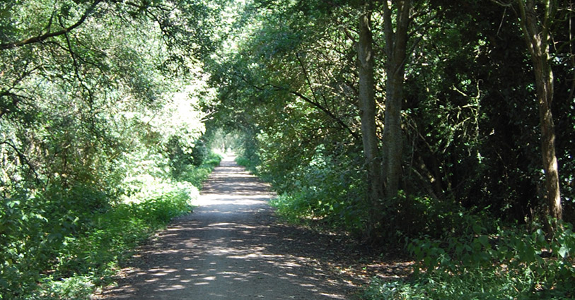 Knights Grange joins the Whitegate Way
