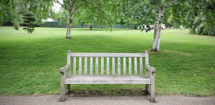 Bench next to a field