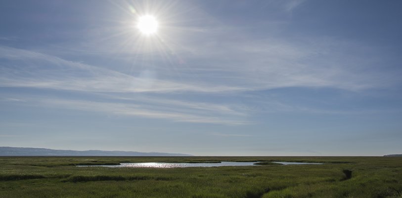 Parkgate Marshes on a sunny day.