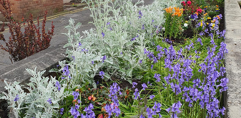 Sensory Garden near Civic Hall in Ellesmere Port