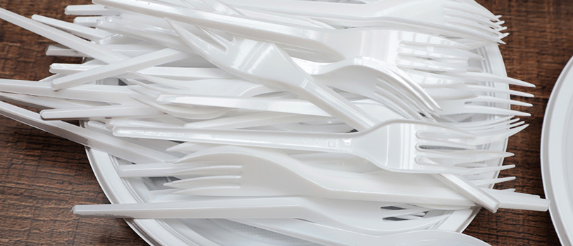 Single use plastic cutlery and plates