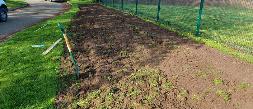 Preparation of wildflower area at Barnton Library