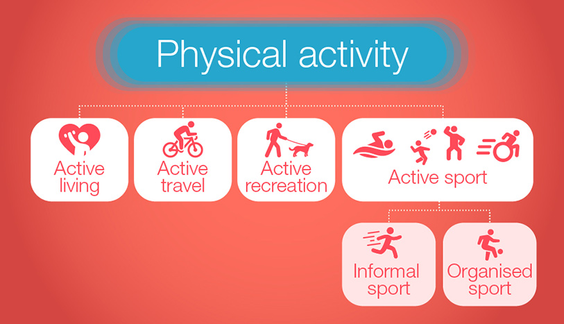 Physical activity includes: active living, active travel, active recreation, active sport (informal sport and organised sport)