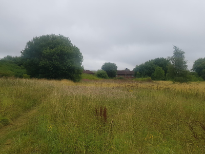 Backies - November 2025