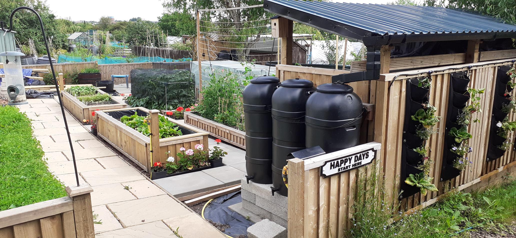 Beeston allotment with plants, water butts, and allotment roof with PVs.