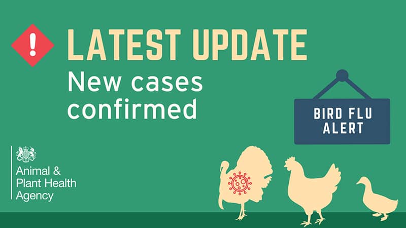 Bird flu alert: Latest update - new cases confirmed