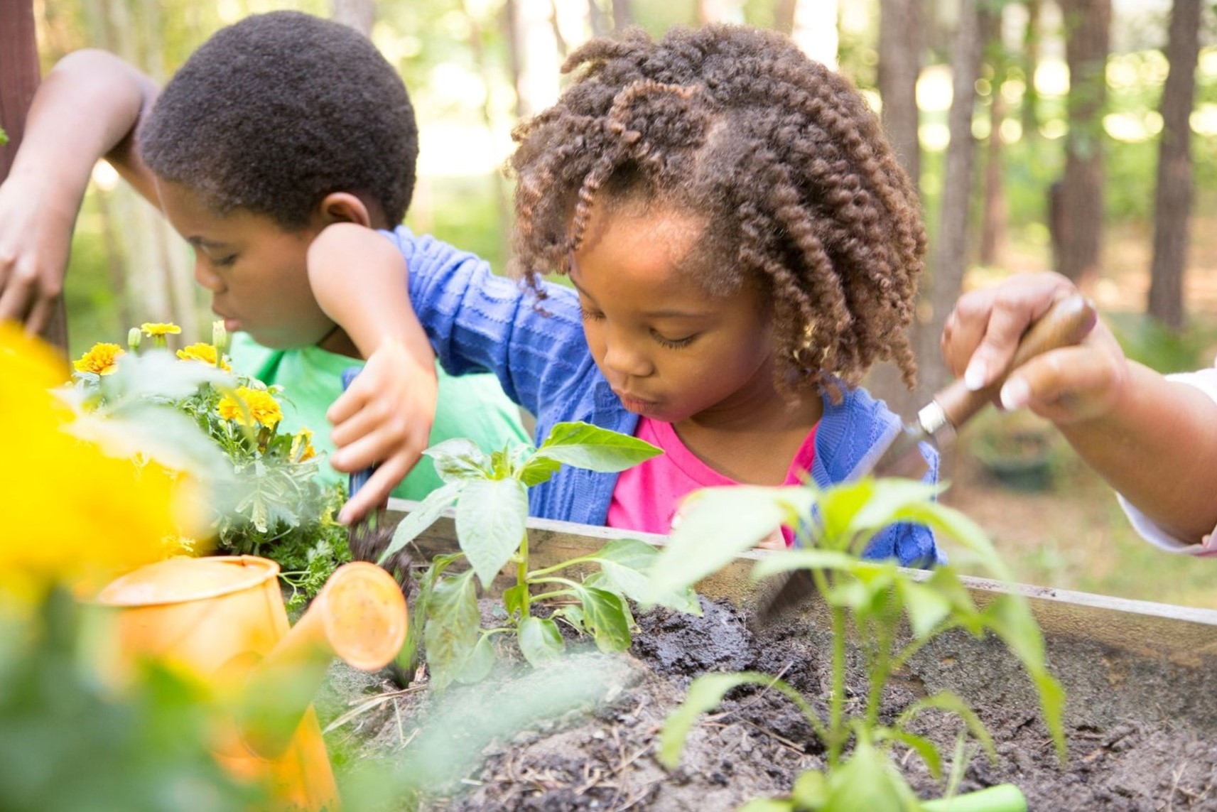 children planting