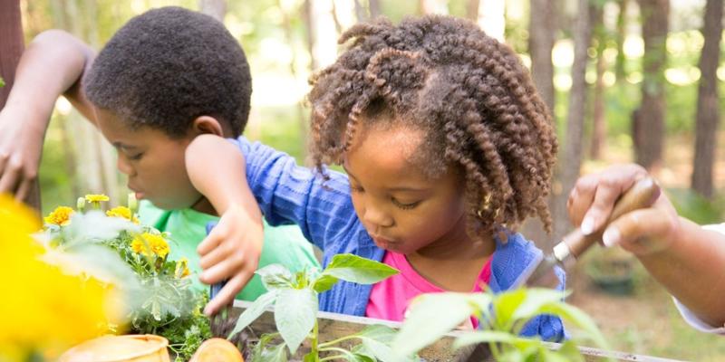 Children planting