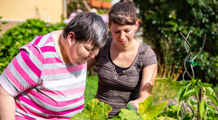 Two people looking at plants together