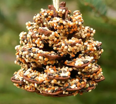 cone craft 