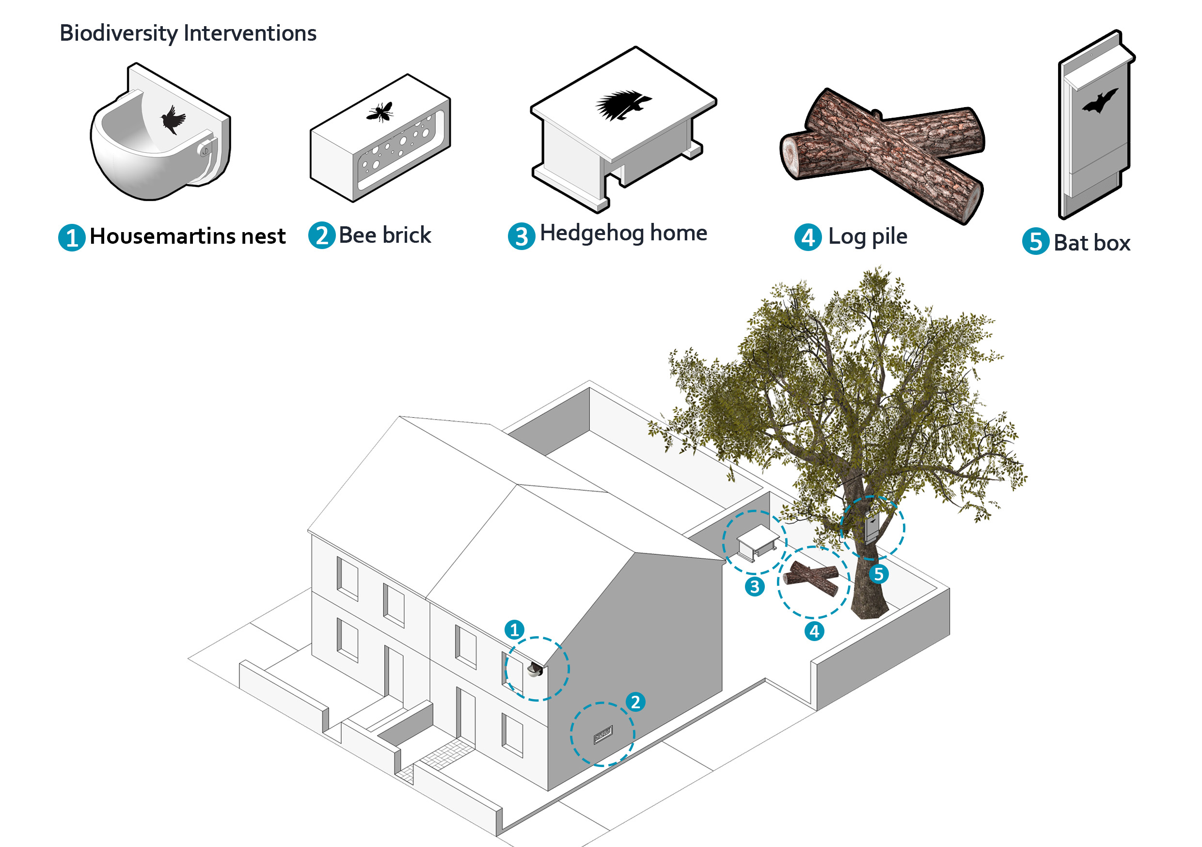 Examples of biodiversity interventions