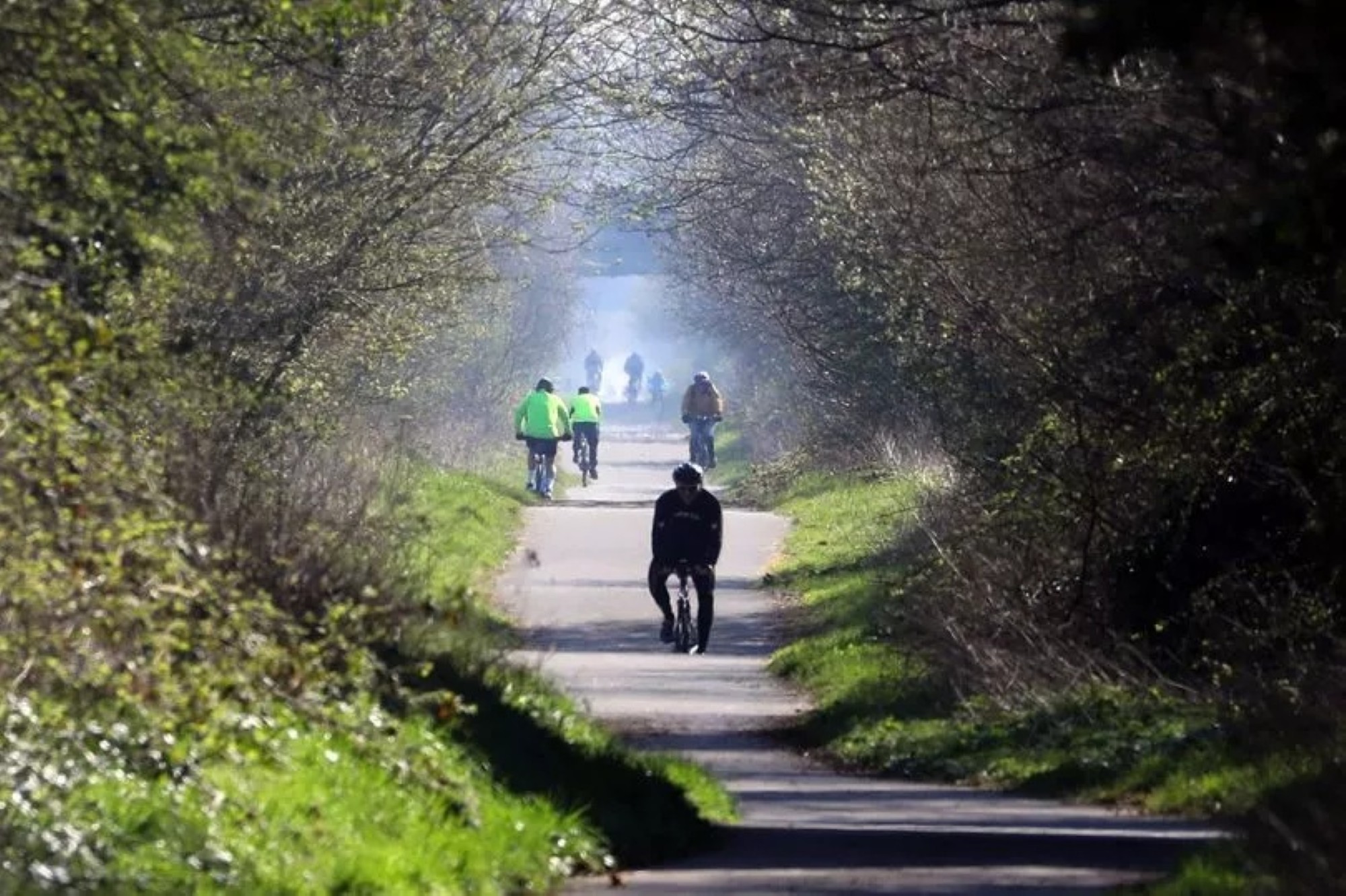 Chester Millenium Greenway (Credit - Ian Cooper North Wales Live) image