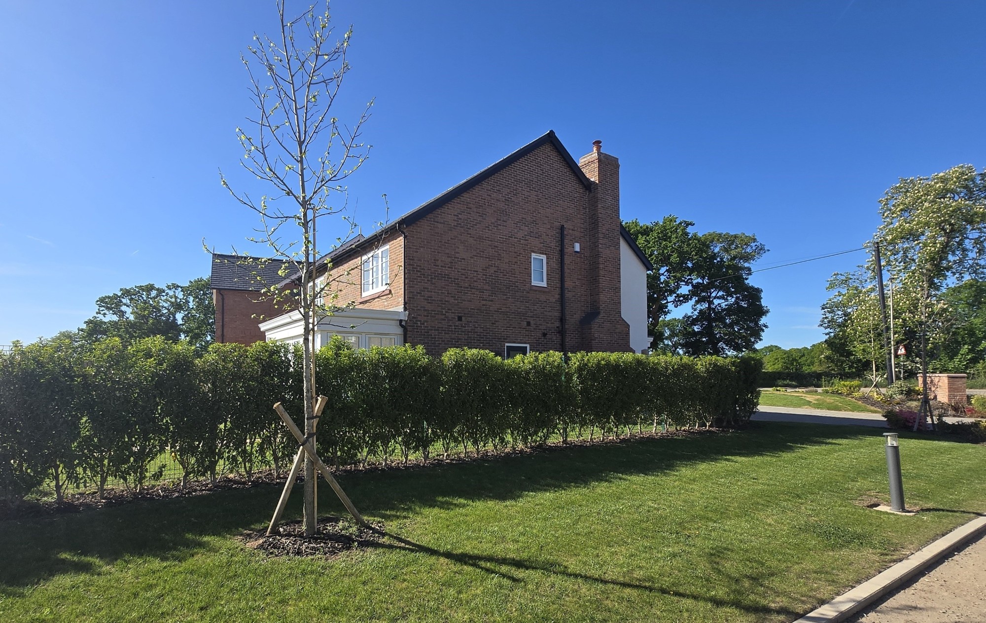 Hedge and Mesh Boundary Treatment, Tattenhall image