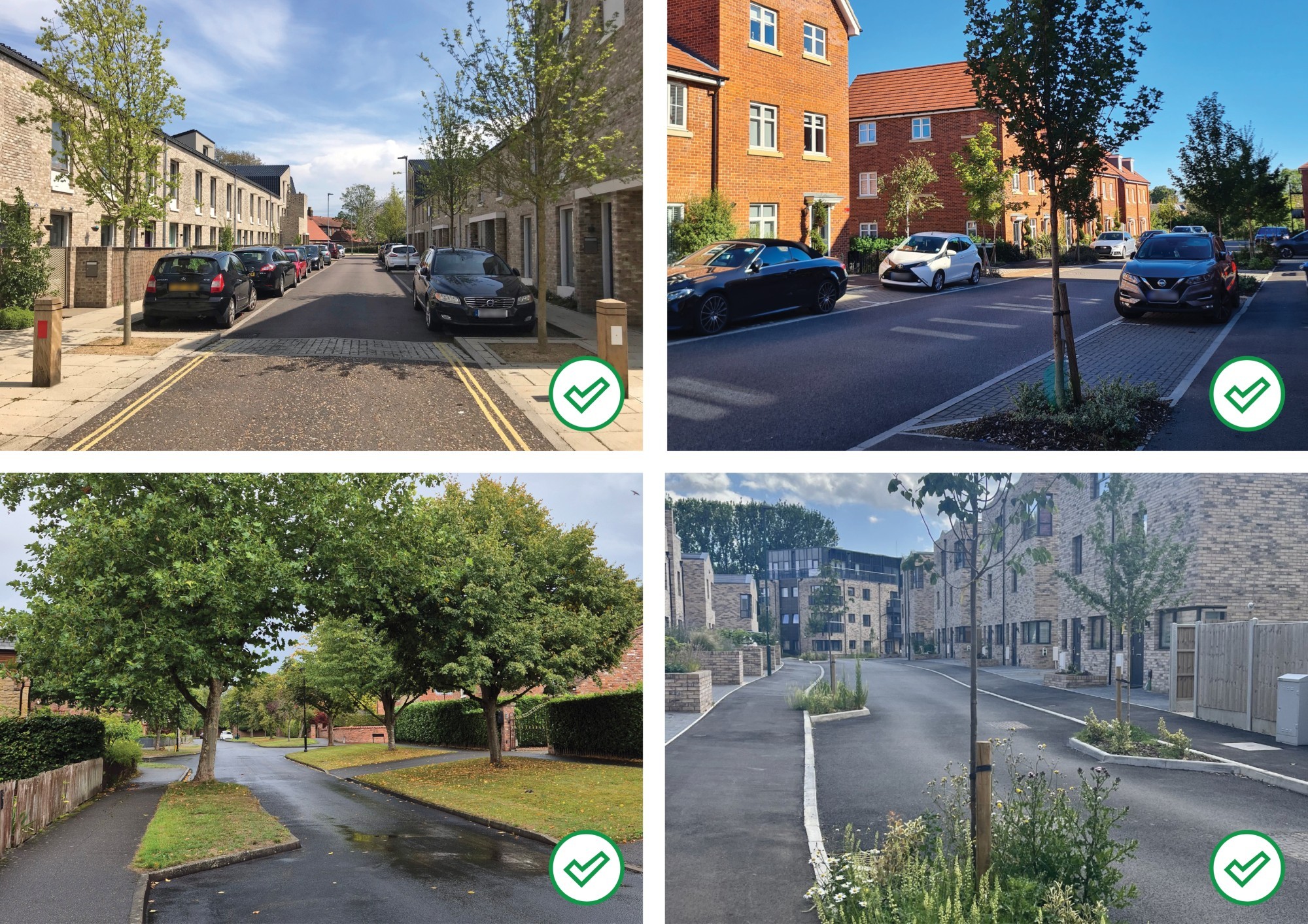 Street trees in build outs
