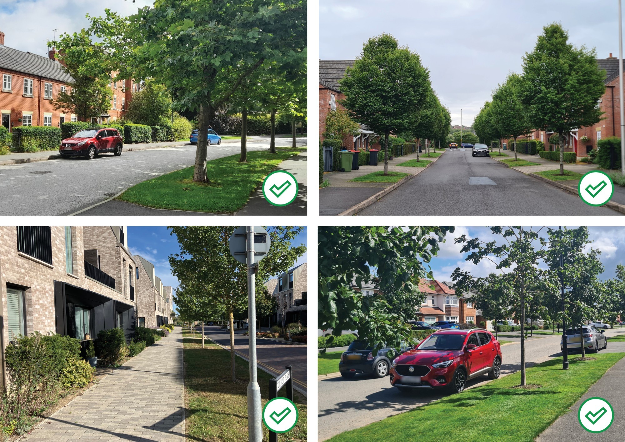 Street trees in verges good examples