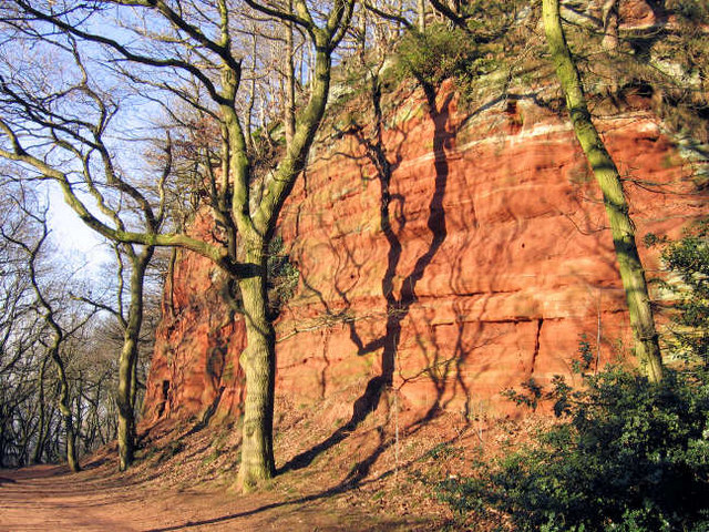 The Sandstone Ridge