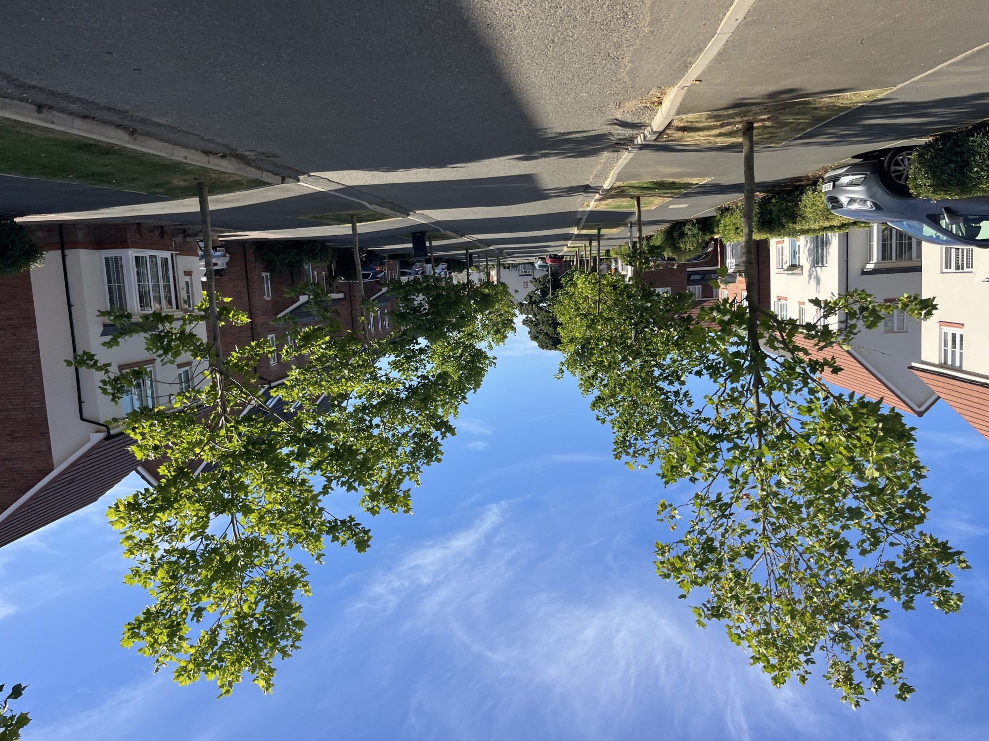 Tree lined street, Grantham image