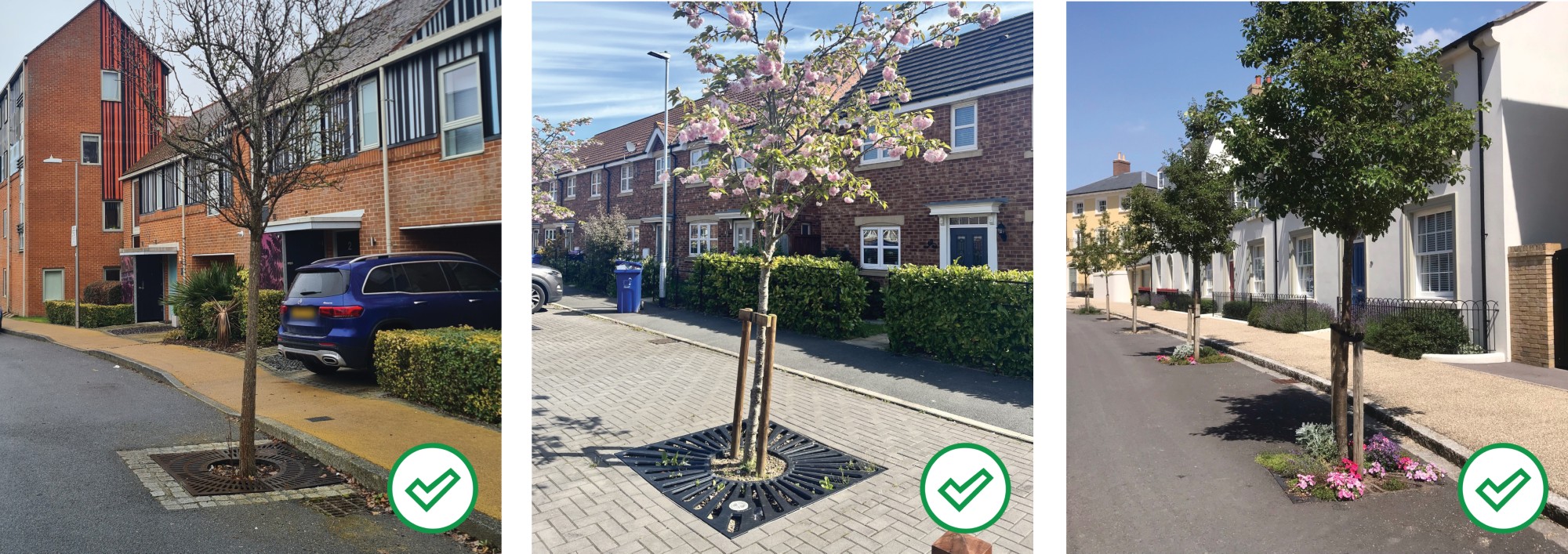 Trees in the carriageway