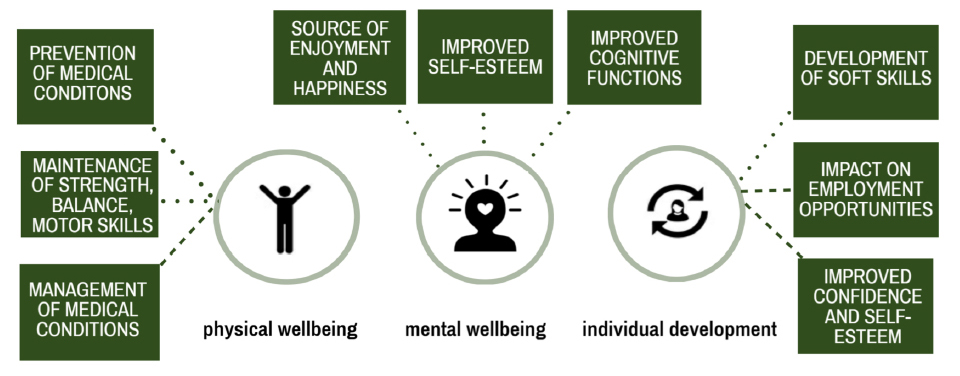 The wider physical wellbeing, mental wellbeing and individual development benefits of physical activity