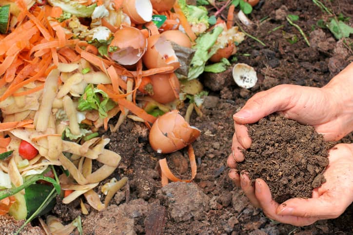 Food peelings laying next to soil compost.