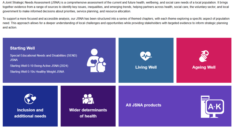 Screenshot of our JSNA landing page