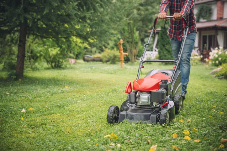 Man using lawn mower in his garden
