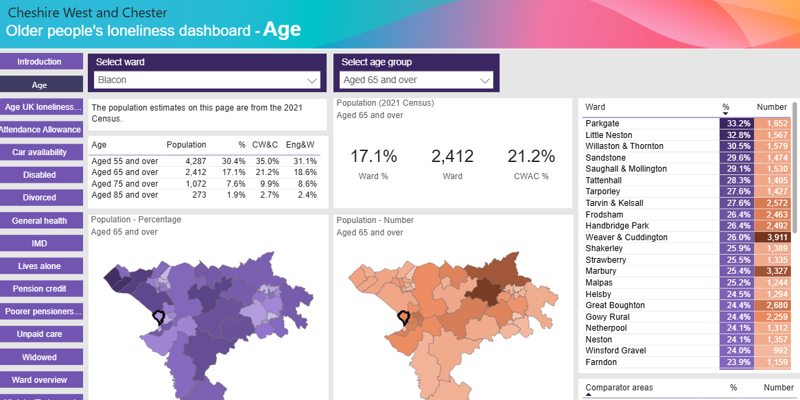 Screenshot of the older peoples loneliness dashboard