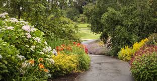 flowers and trees with a pathway through the middle