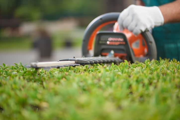 Hedge cutter in action