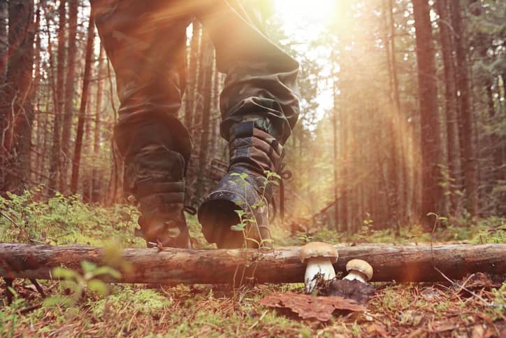 Man walking in the woods