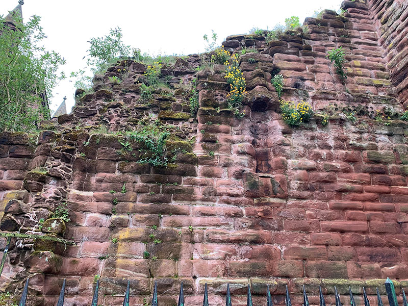 Moss grown over bricks