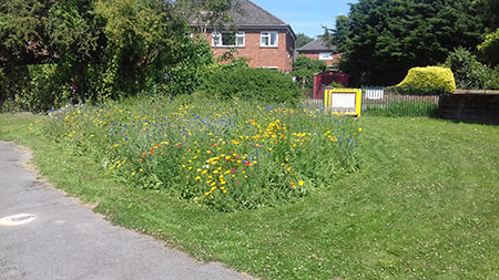 450-Cheyney-Road-Play-Area